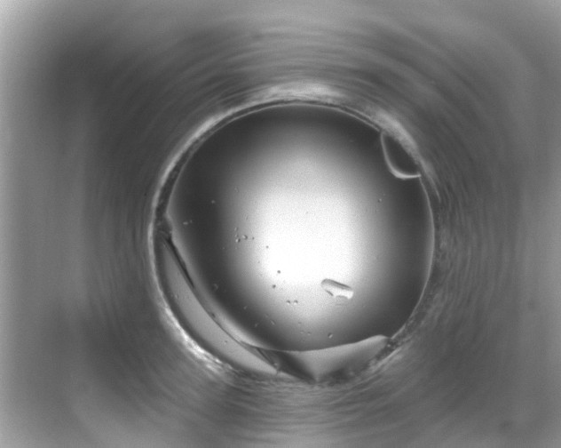 X0000068820947200605081142