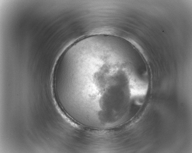 X0000068820949200605081142