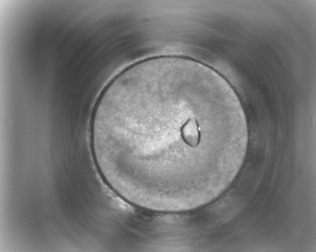 X0000068820950200605081142