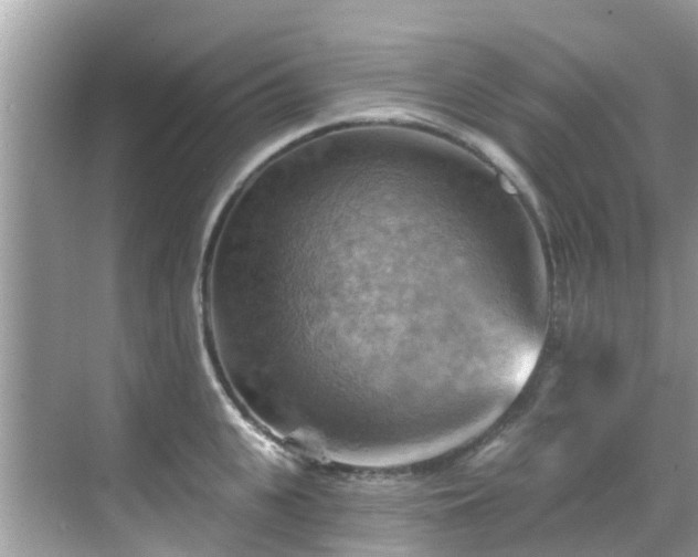 X0000068820951200605081142