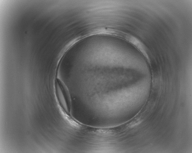 X0000068820954200605081142