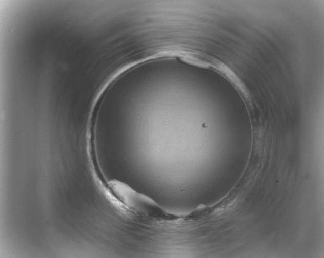 X0000068820955200605081142