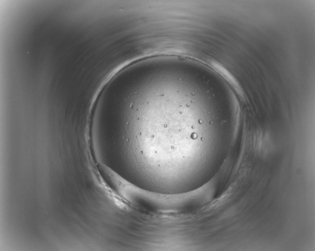 X0000068820956200605081142