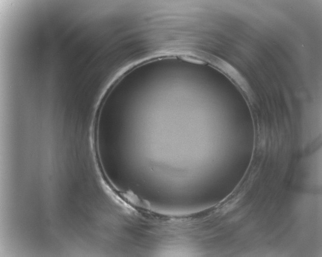 X0000068820958200605081142