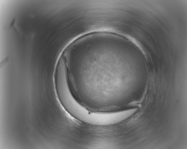 X0000068820959200605081142