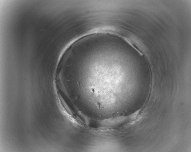 X0000068820960200605081142