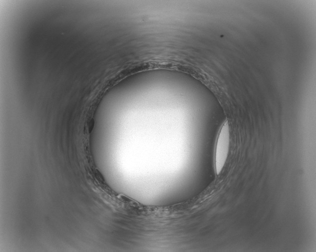 X0000068820961200605081141