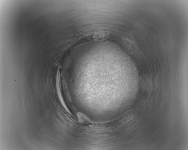 X0000068820962200605081141