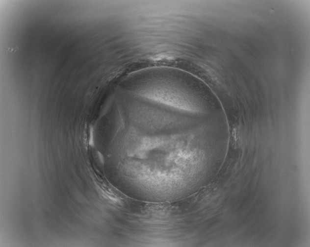 X0000068820963200605081141