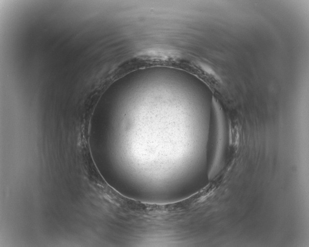 X0000068820965200605081141