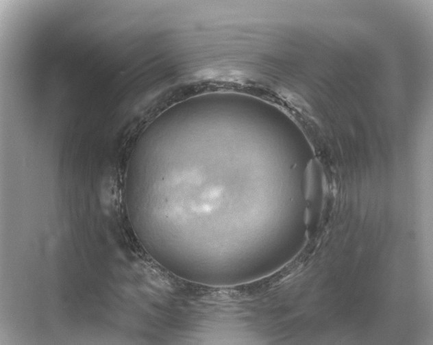 X0000068820966200605081141