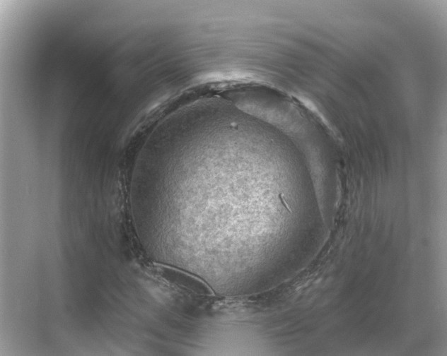 X0000068820967200605081141