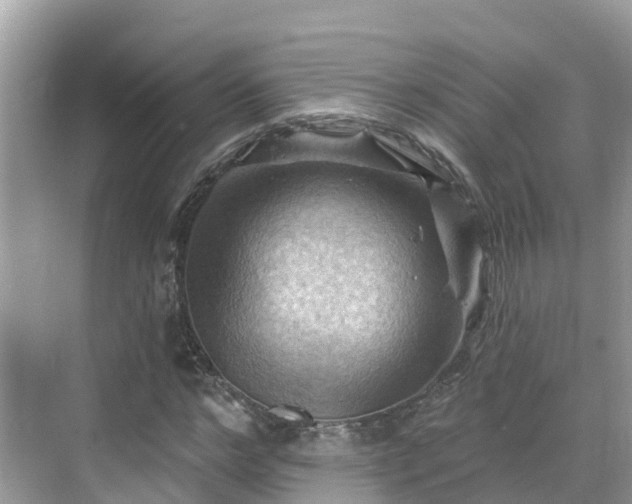 X0000068820968200605081141