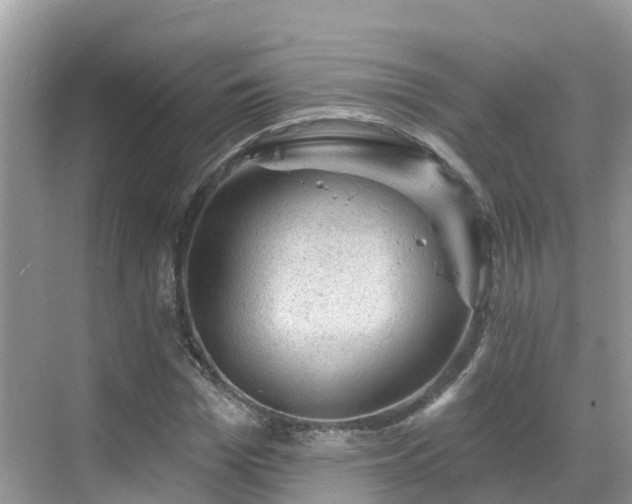 X0000068820969200605081141