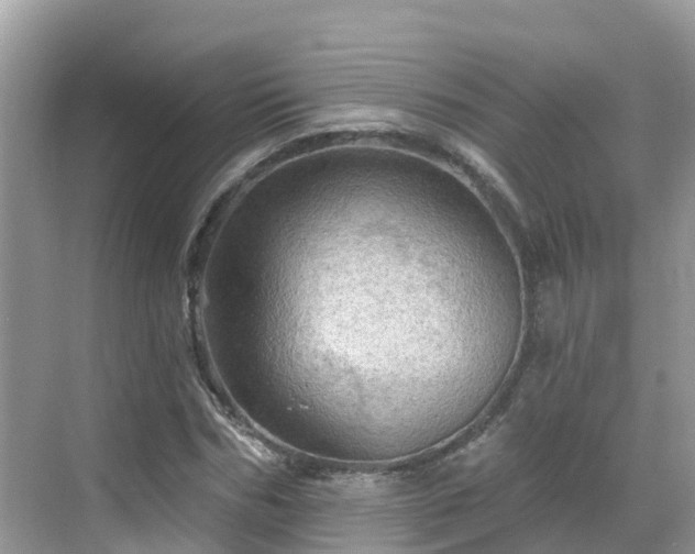 X0000068820970200605081141