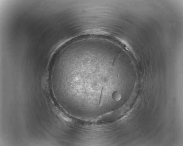 X0000068820971200605081141