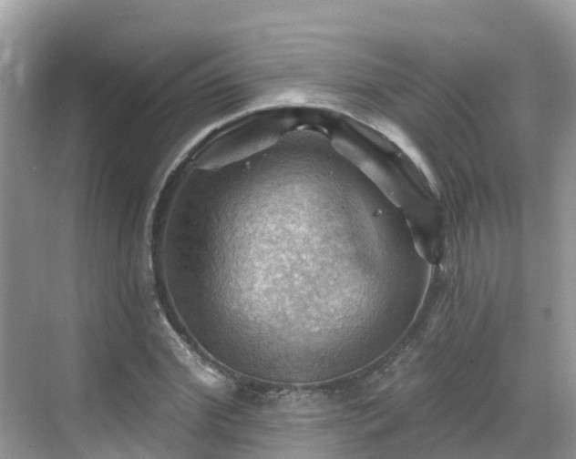 X0000068820972200605081141