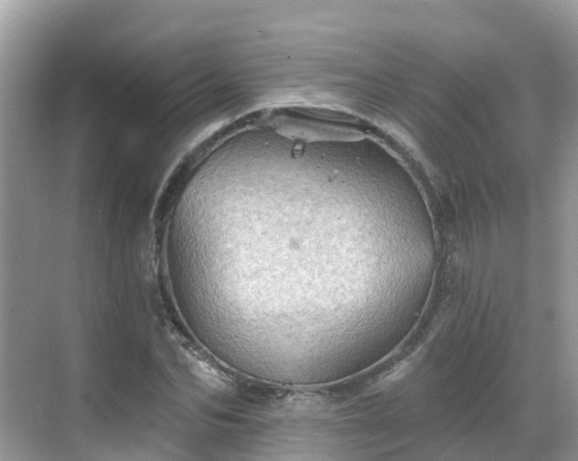 X0000068820974200605081141