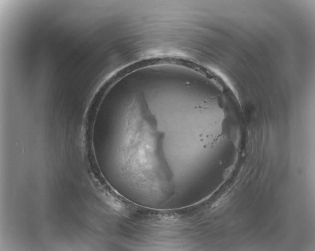 X0000068820975200605081141