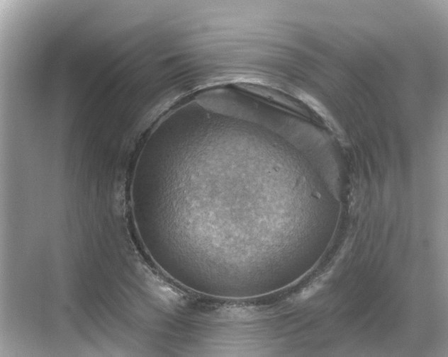 X0000068820977200605081141