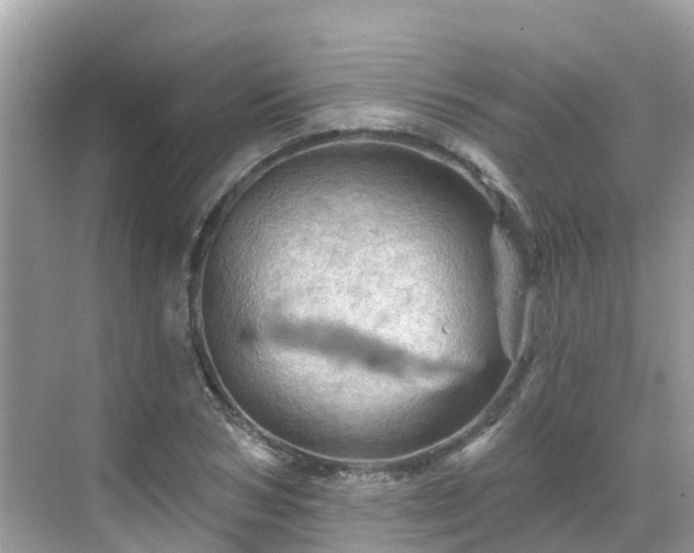 X0000068820978200605081141