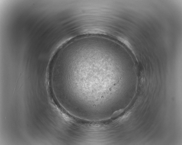 X0000068820979200605081141