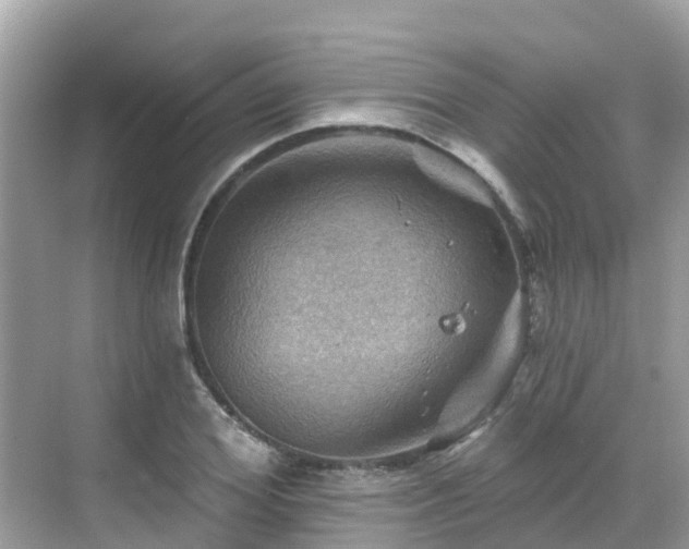 X0000068820980200605081141