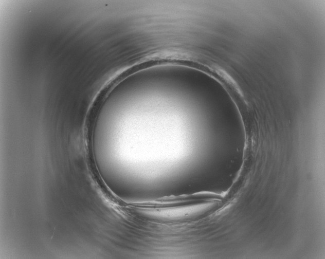 X0000068820981200605081141