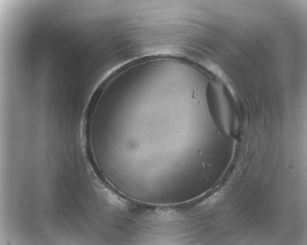 X0000068820983200605081141