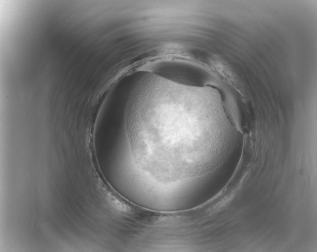 X0000068820985200605081141