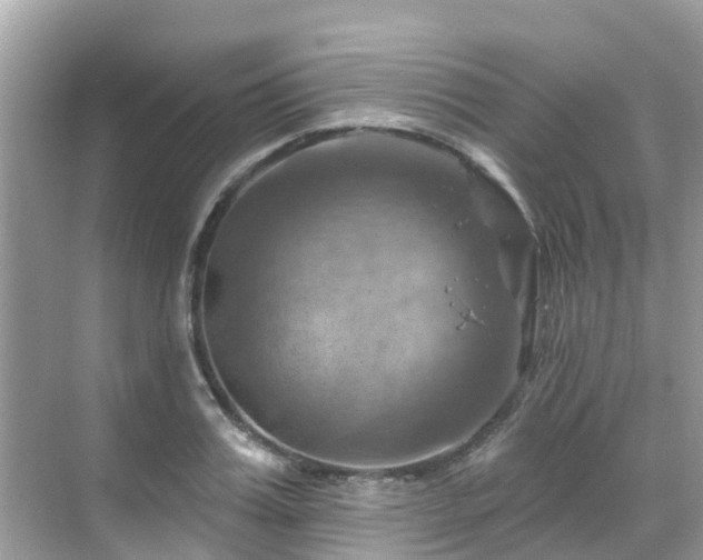 X0000068820987200605081141