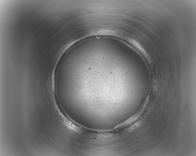 X0000068820988200605081141