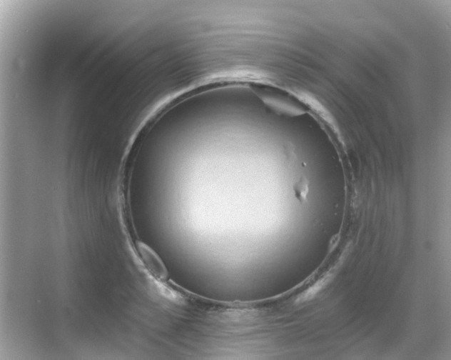 X0000068820989200605081141