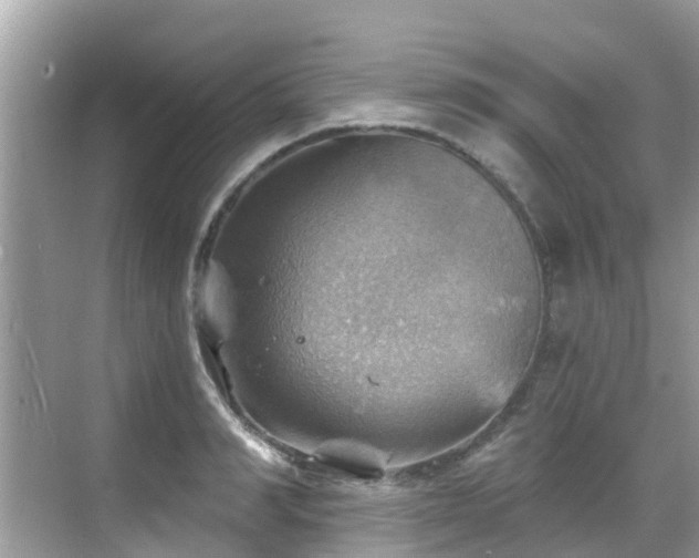 X0000068820990200605081141