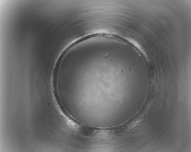 X0000068820991200605081141