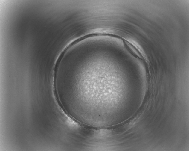 X0000068820992200605081141