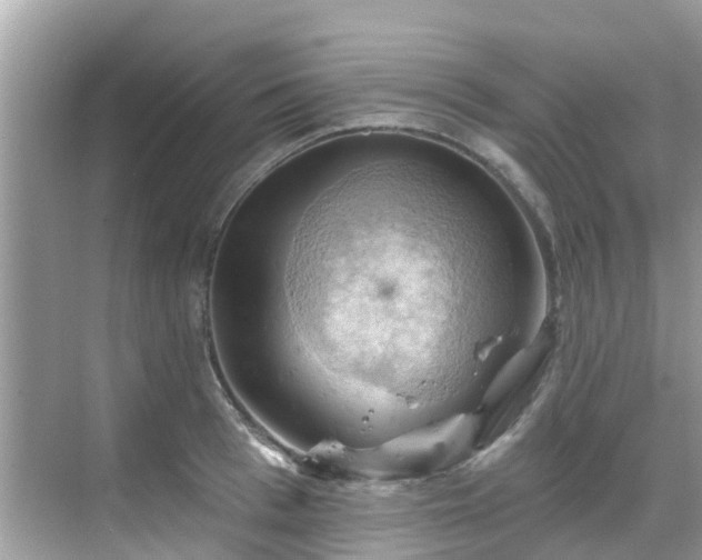 X0000068820993200605081141