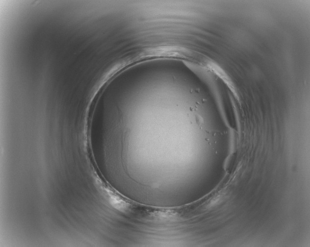 X0000068820994200605081141