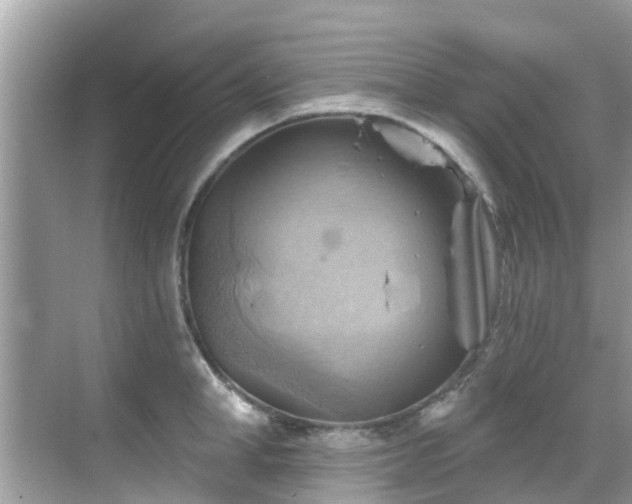 X0000068820998200605081140