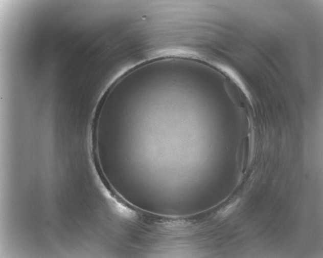 X0000068820999200605081140