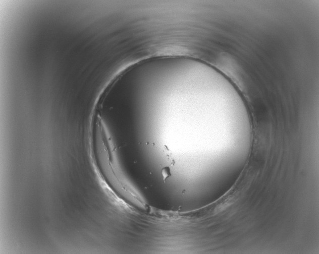 X0000068821000200605081140