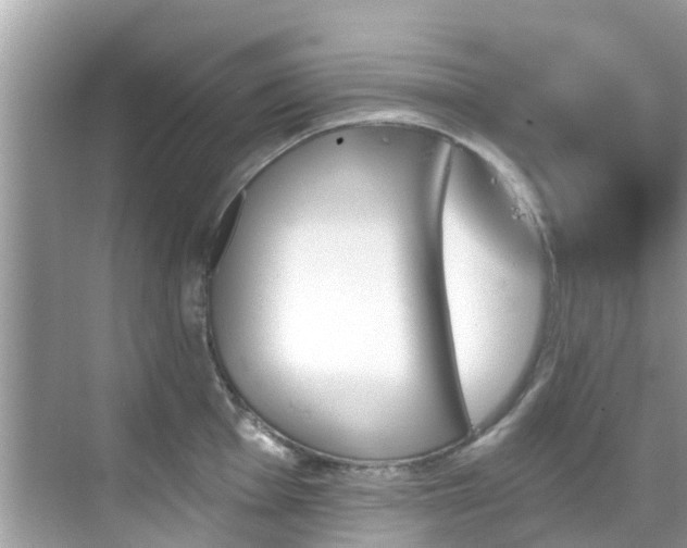 X0000068821001200605081140