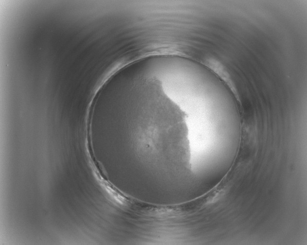 X0000068821002200605081140