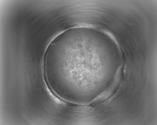 X0000068821003200605081140