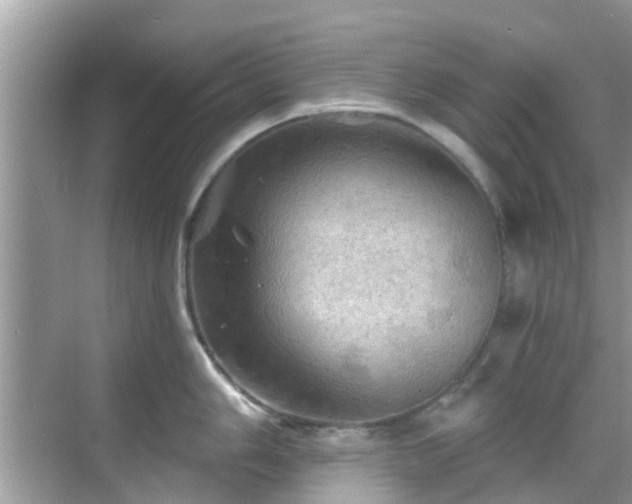 X0000068821006200605081140