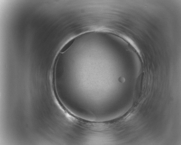 X0000068821007200605081140