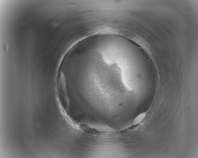 X0000068821008200605081140