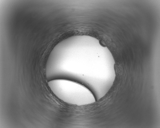 X0000068821009200605081139