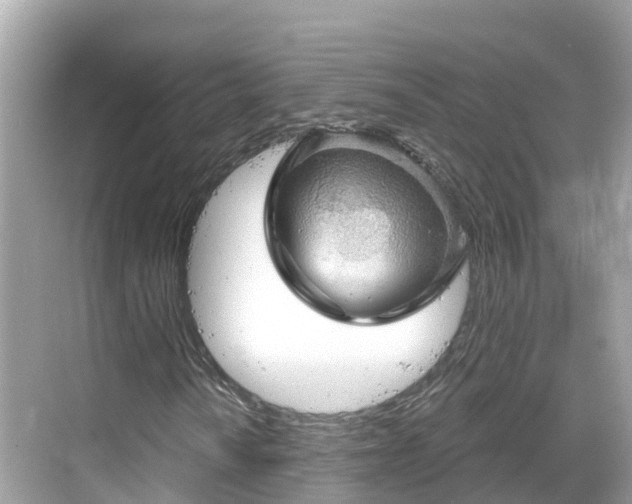 X0000068821010200605081140