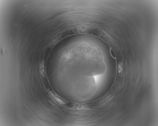 X0000068821011200605081140